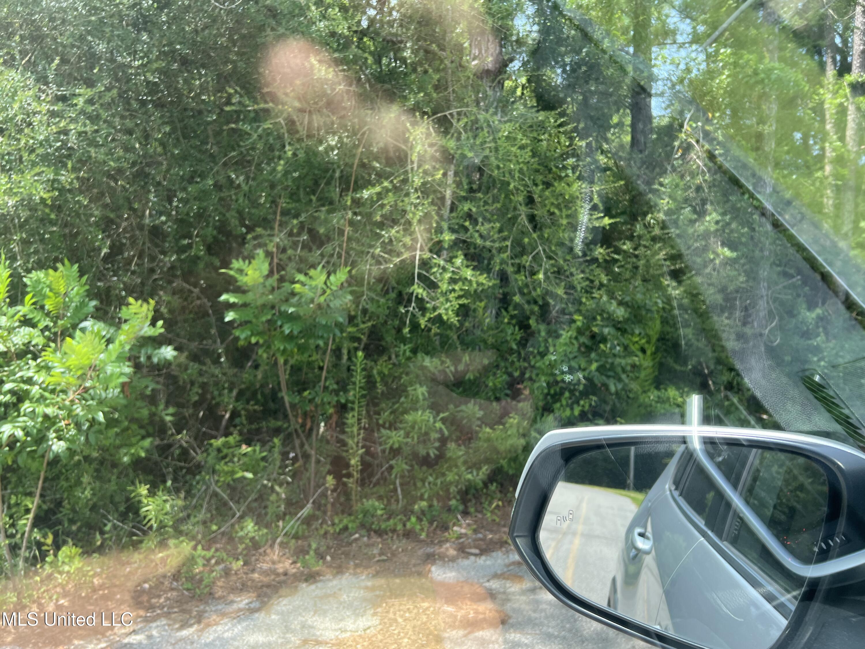 0 North Pine Extension Pass Christian, MS 39571 - Photo 3 of 5 IMG_4286