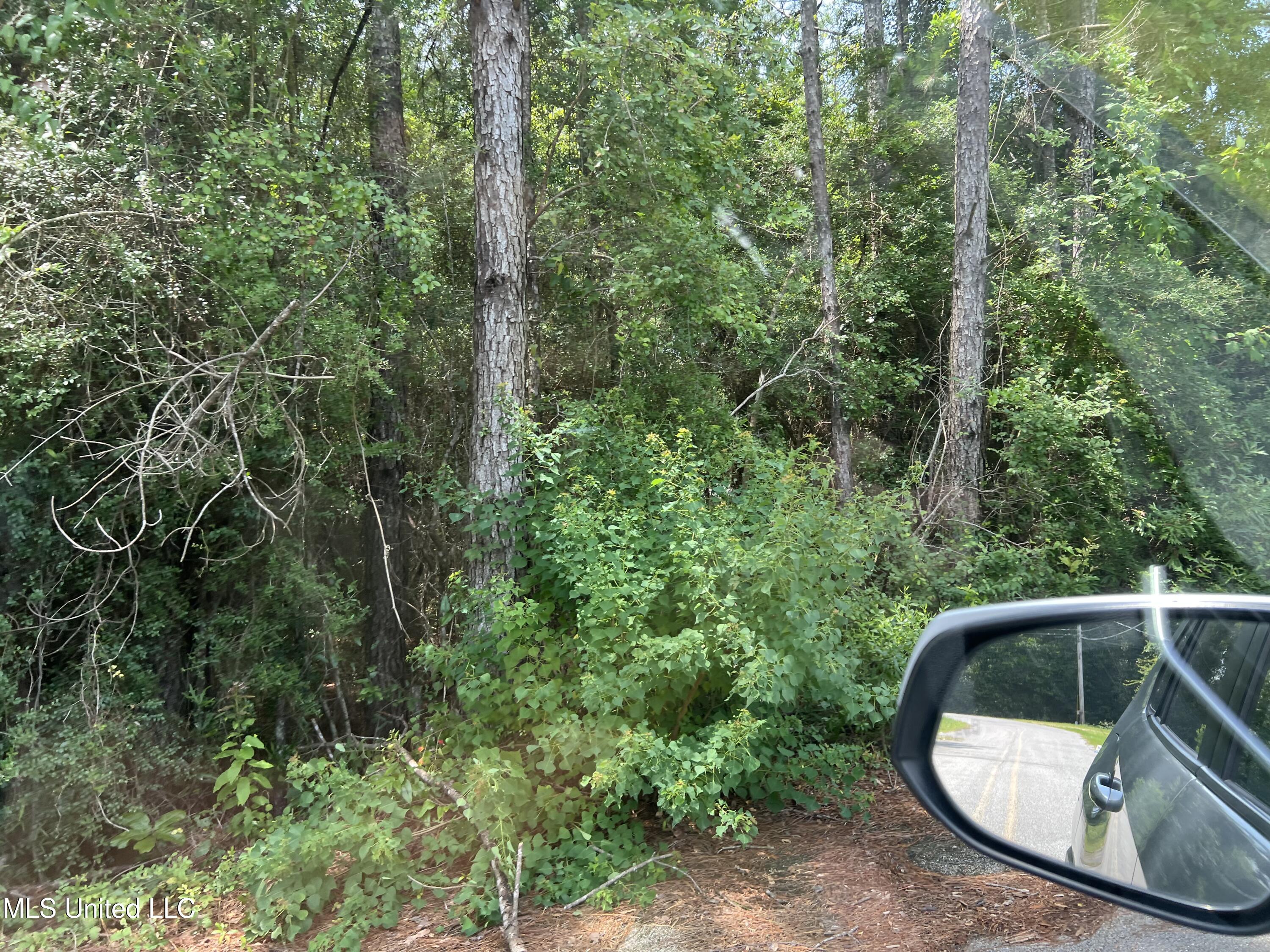 0 North Pine Extension Pass Christian, MS 39571 - Photo 4 of 5 IMG_4287