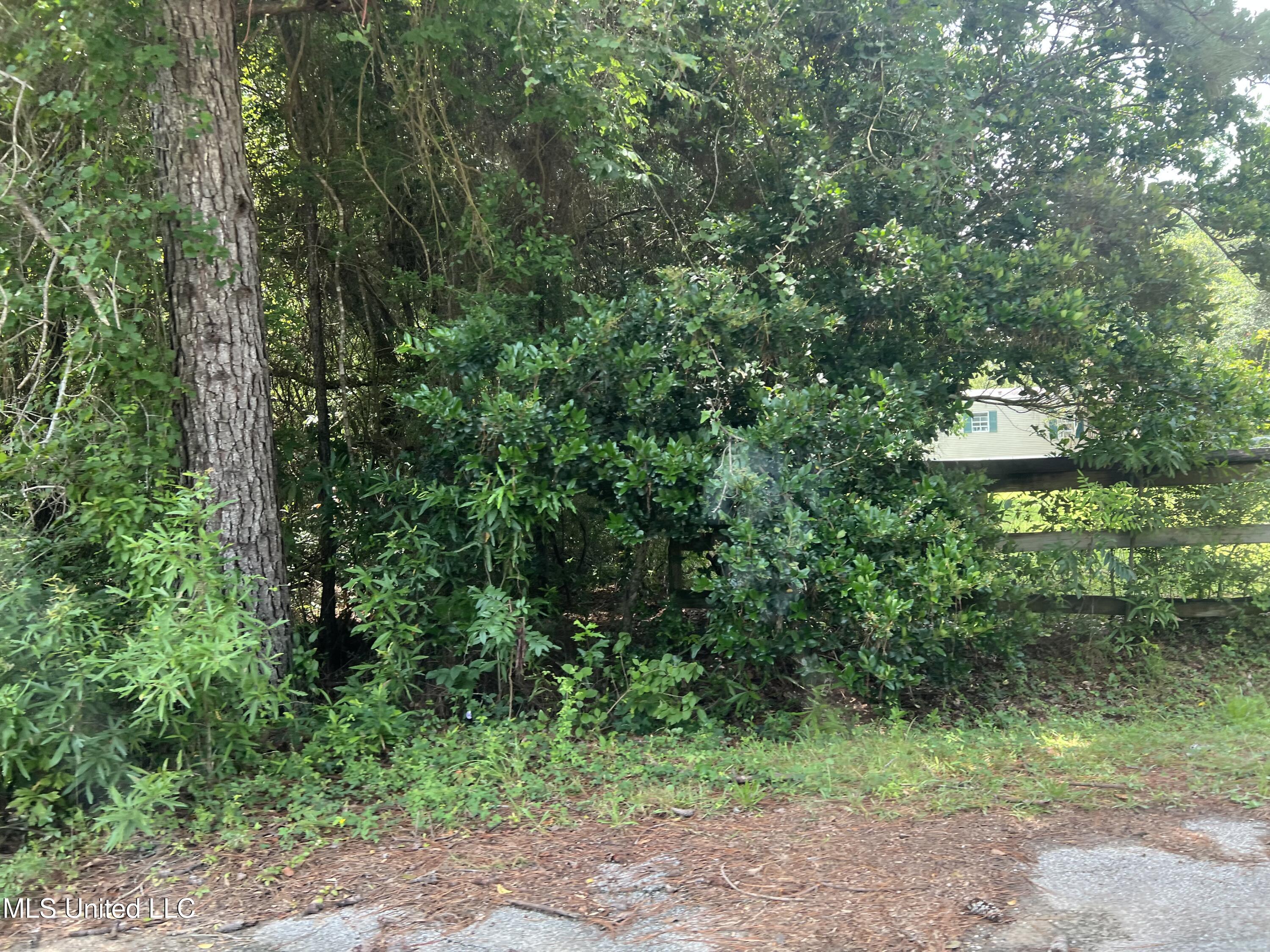 0 North Pine Extension Pass Christian, MS 39571 - Photo 5 of 5 IMG_4288