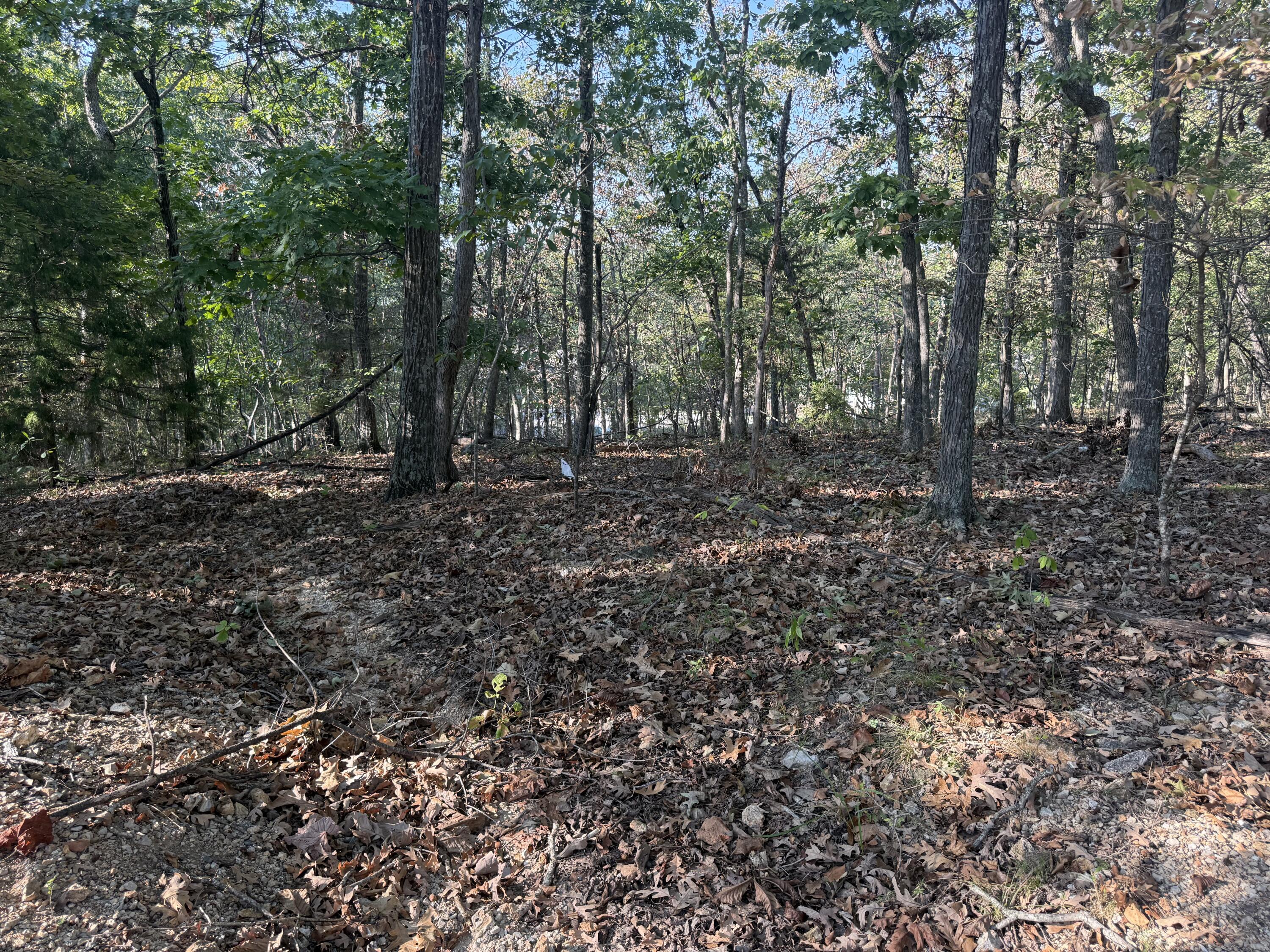 7 Columbine Road Lake Ozark, MO 65049 - Photo 4 of 19 columbine 1