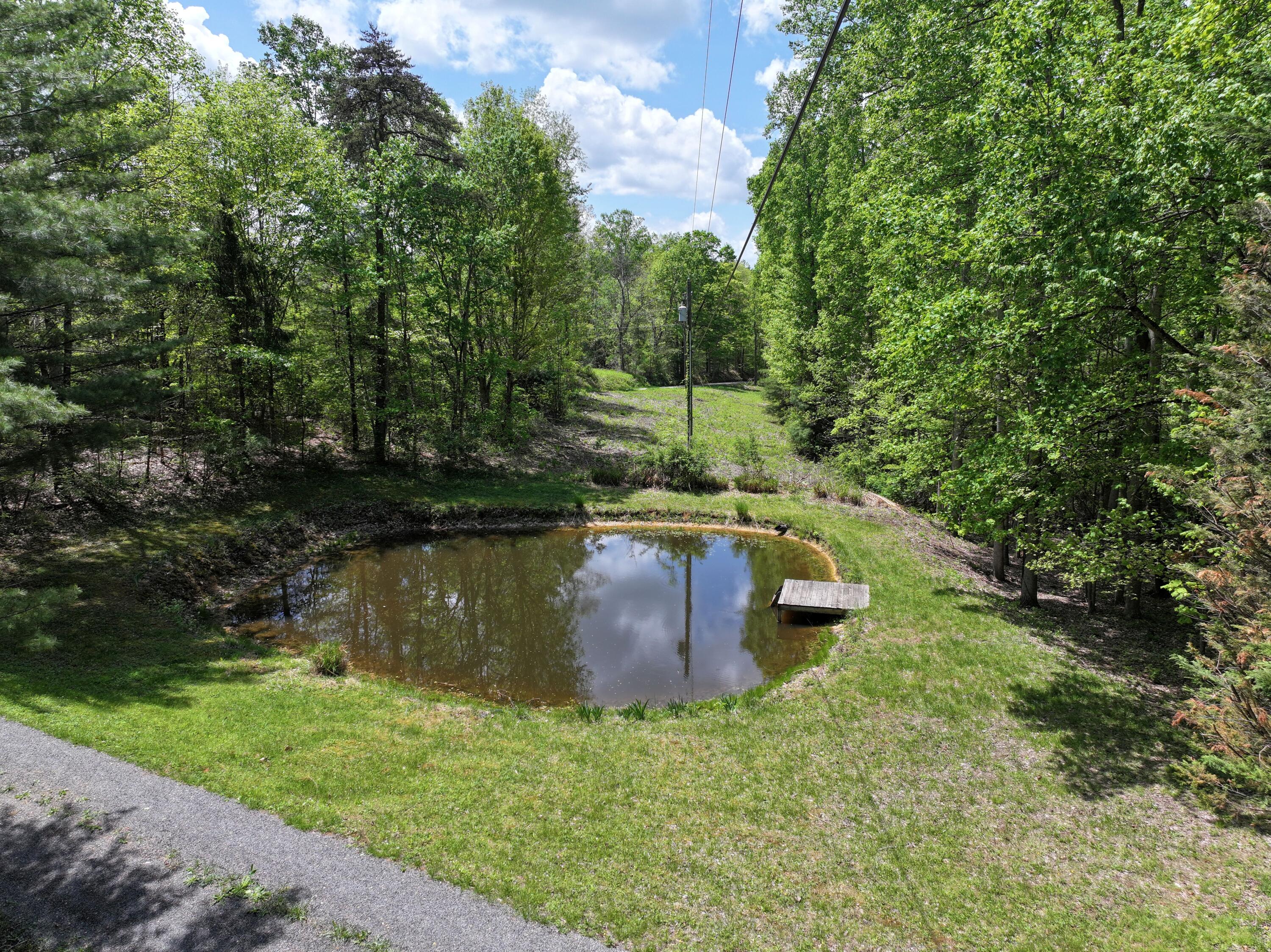2817 Browns Ridge Road Lerona, WV 25971 - Photo 6 of 83 Gallery Image 6