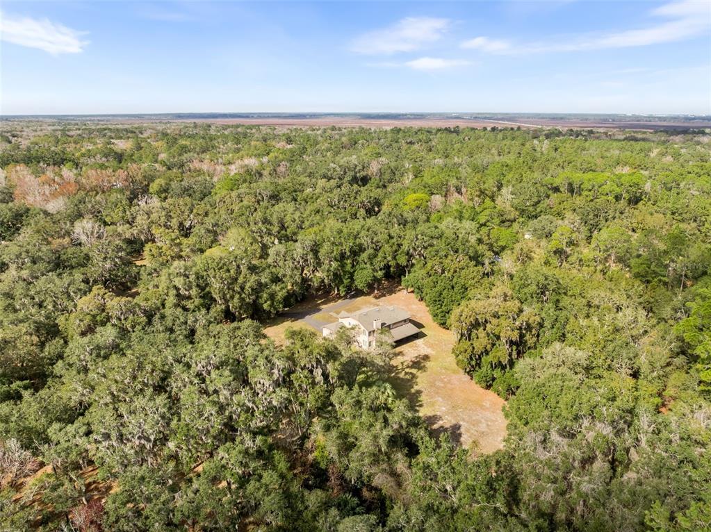 12221 Southwest 16 Street Micanopy, FL 32667 - Photo 34 of 35