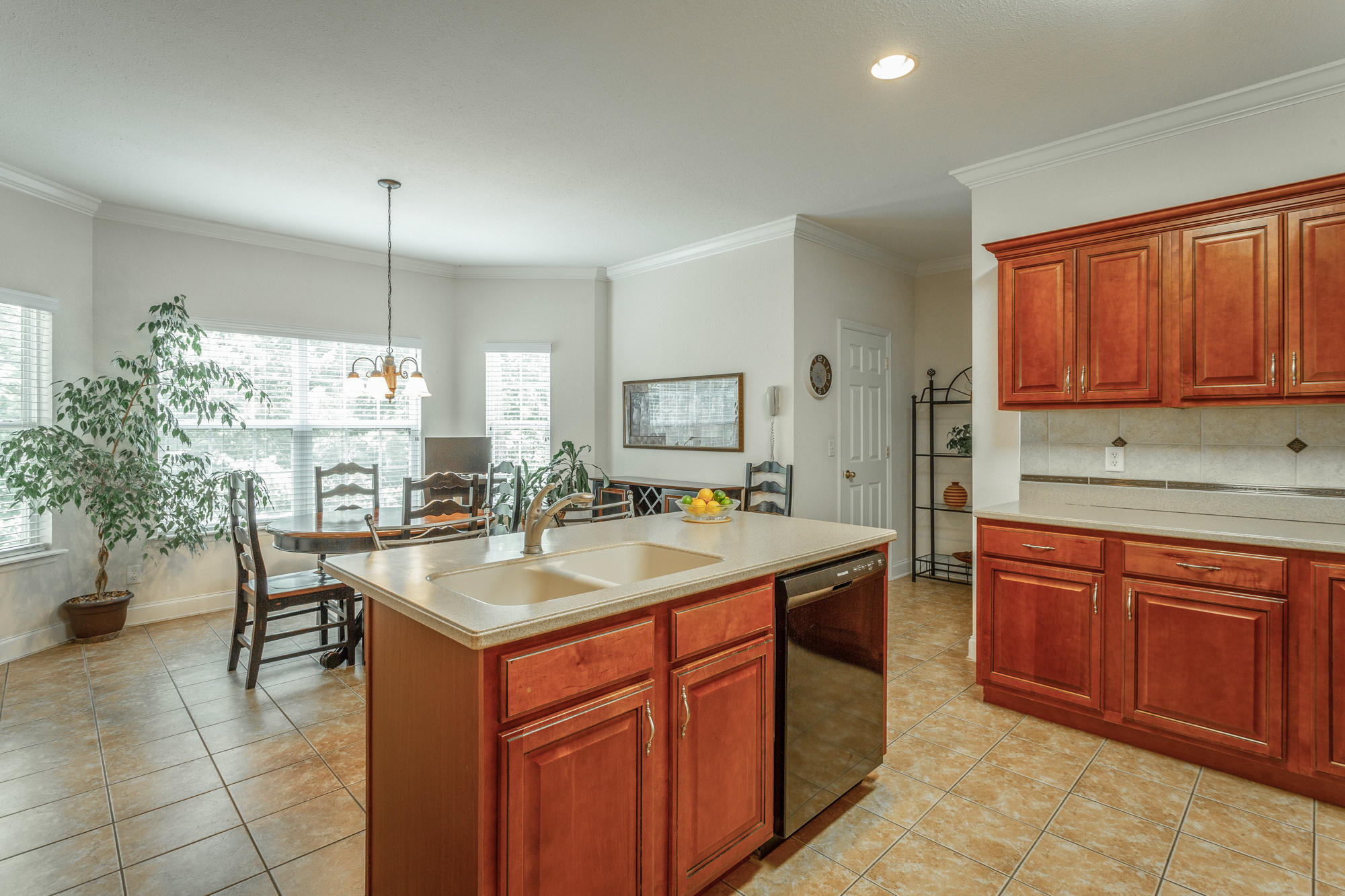 102 Will Ridge Drive Ringgold, GA 30736 - Photo 13 of 66 Kitchen