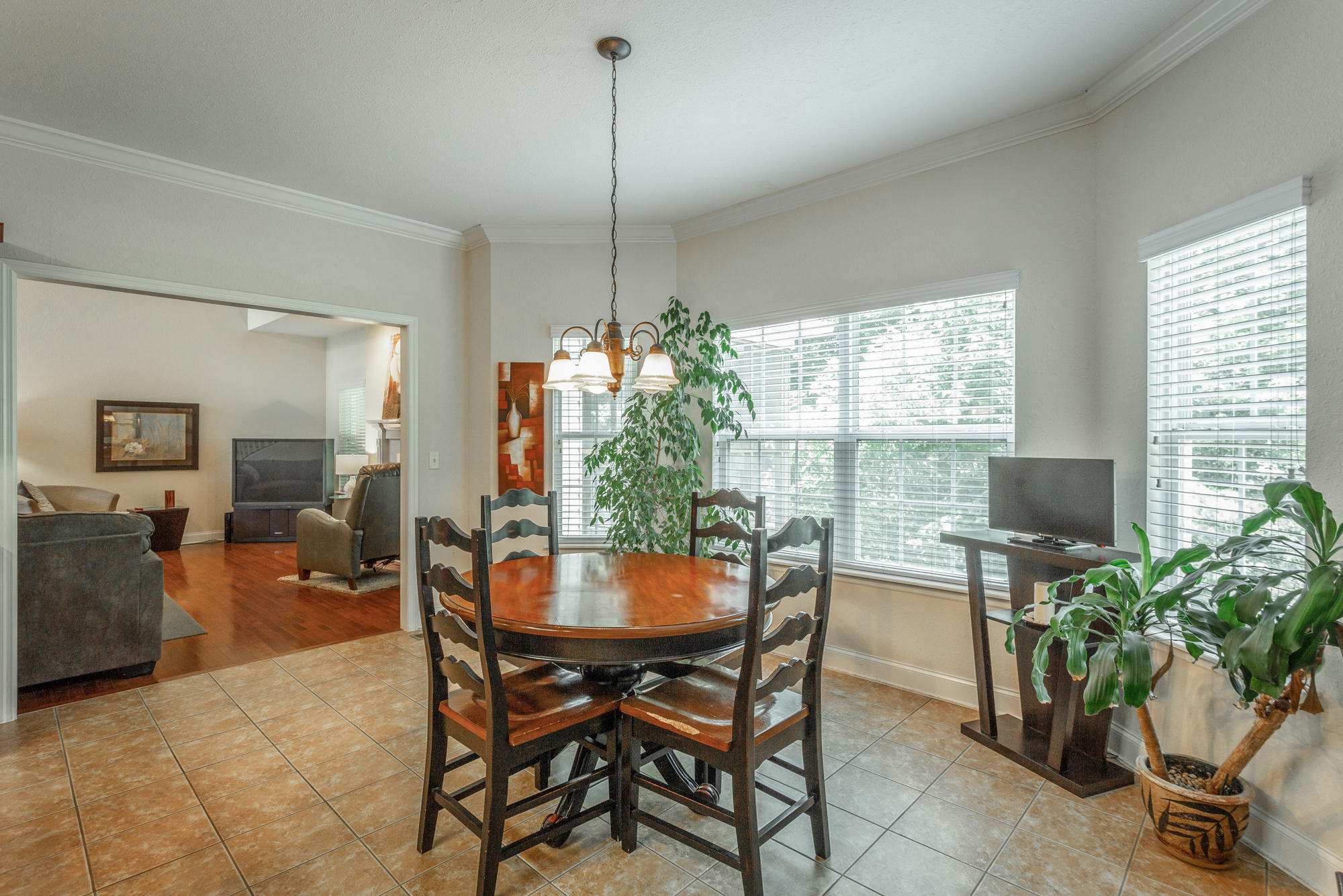 102 Will Ridge Drive Ringgold, GA 30736 - Photo 17 of 66 Breakfast Nook