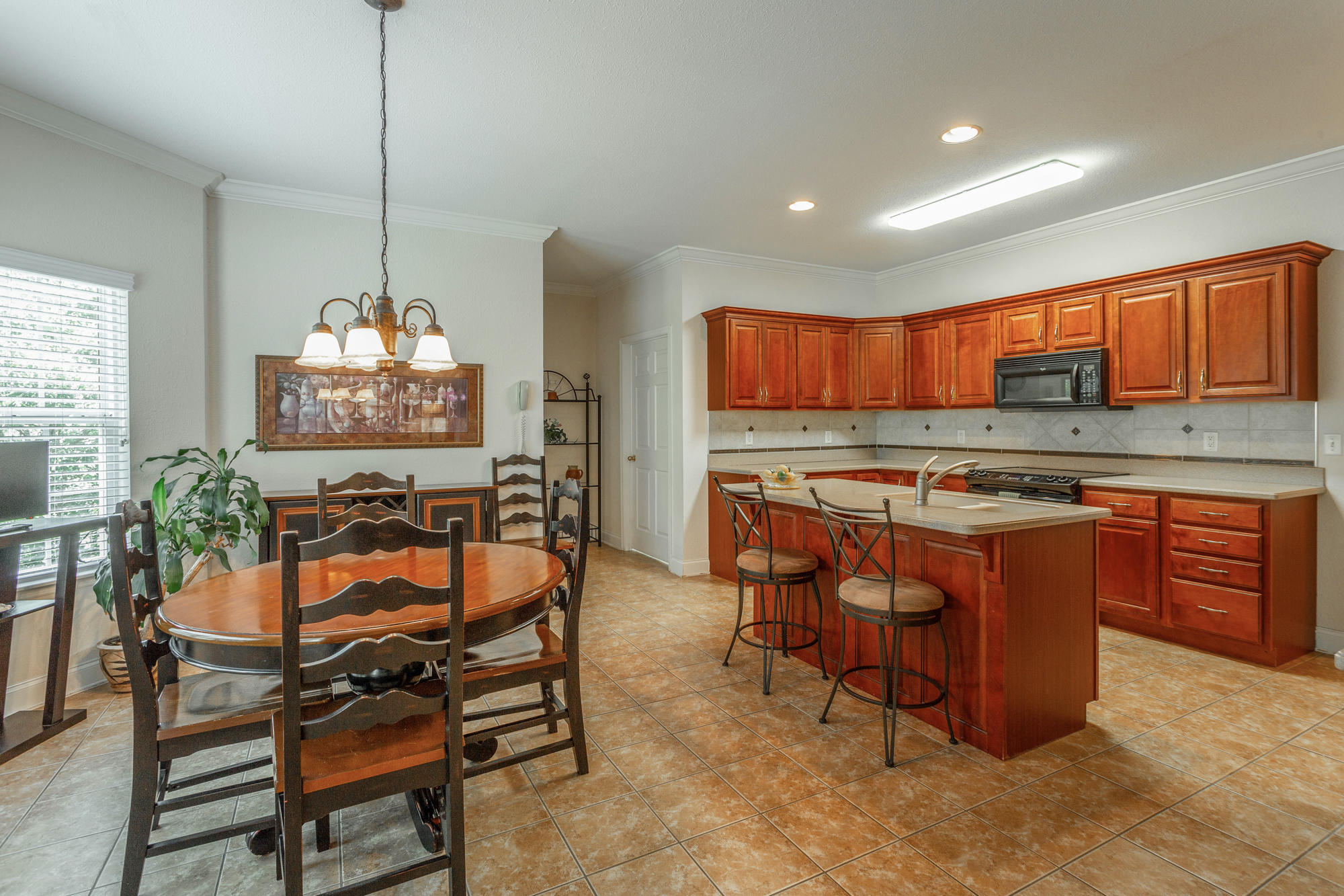 102 Will Ridge Drive Ringgold, GA 30736 - Photo 3 of 66 Kitchen/Breakfast Nook