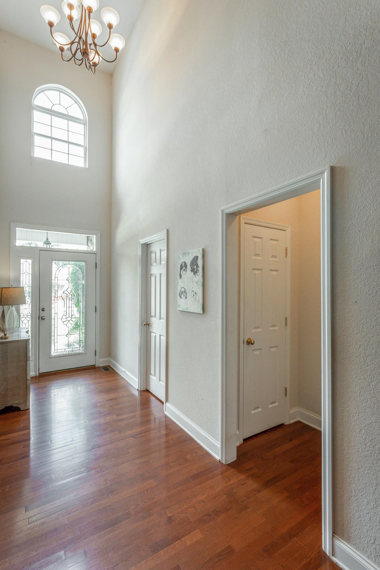 102 Will Ridge Drive Ringgold, GA 30736 - Photo 10 of 66 Foyer