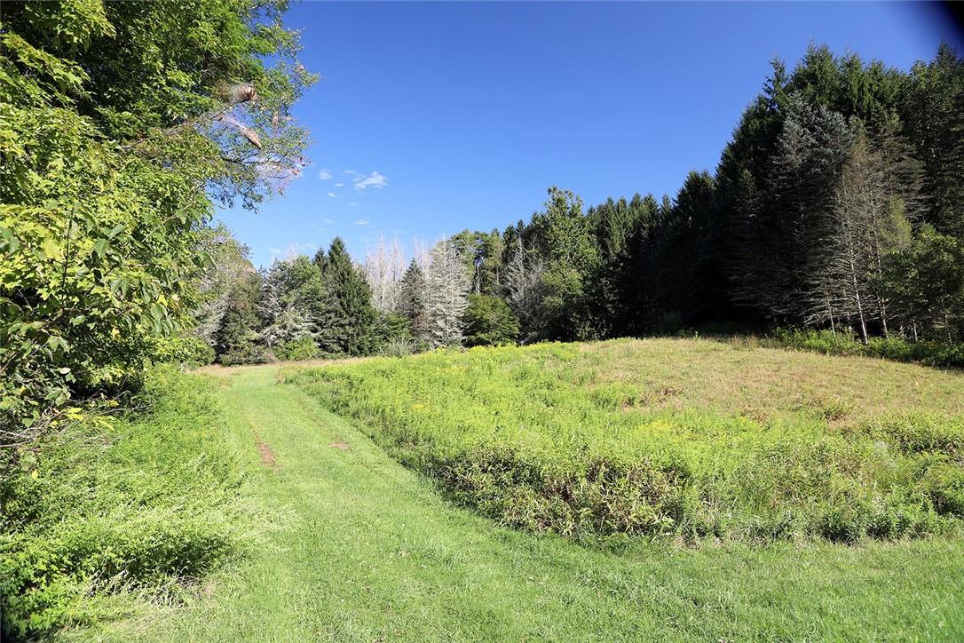 0 State Route Callicoon, NY 12723 - Photo 1 of 1 Gallery Image 1