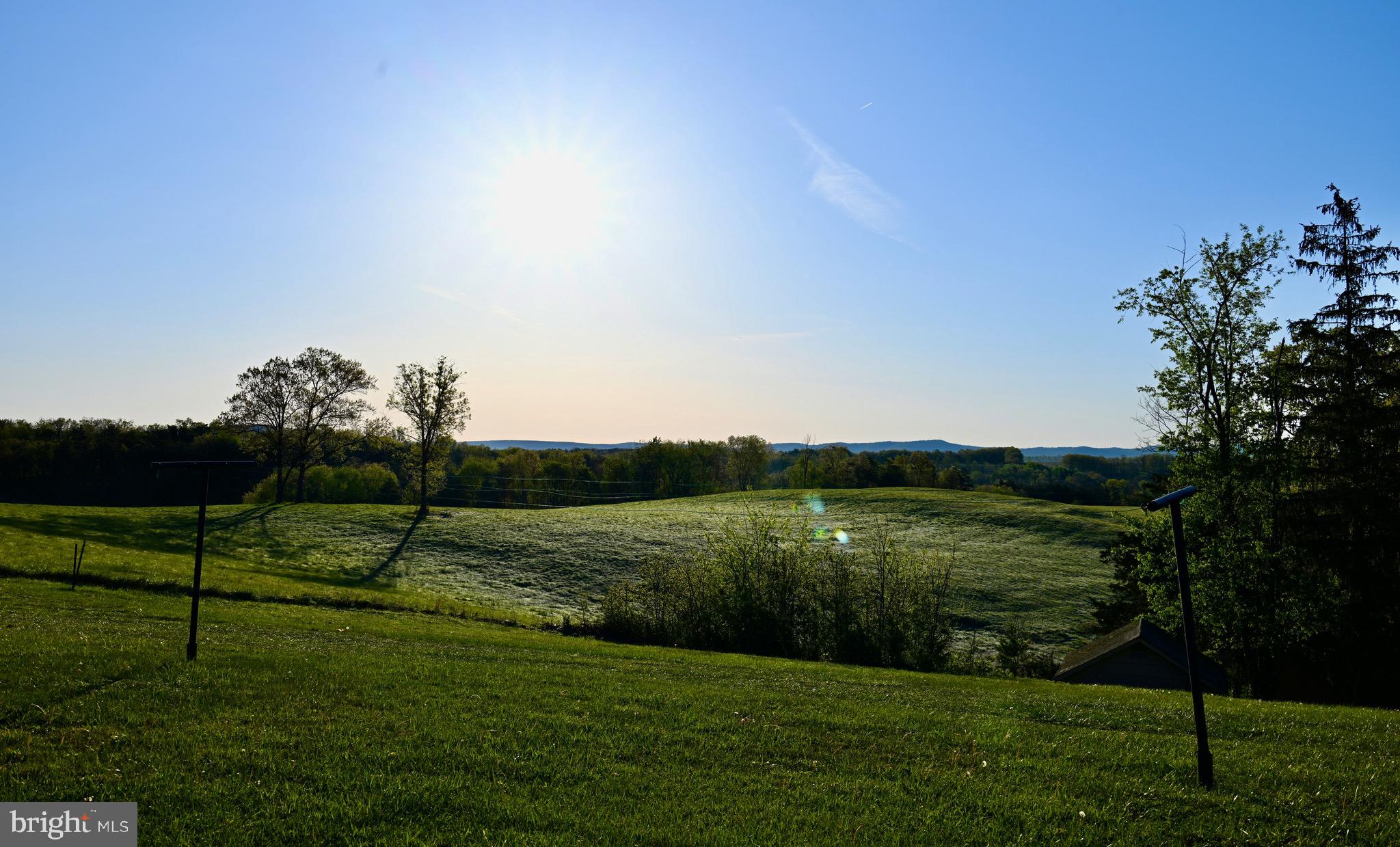 1843 Heide Cooper Road Shanks, WV 26761 - Photo 4 of 4 View from the backyard