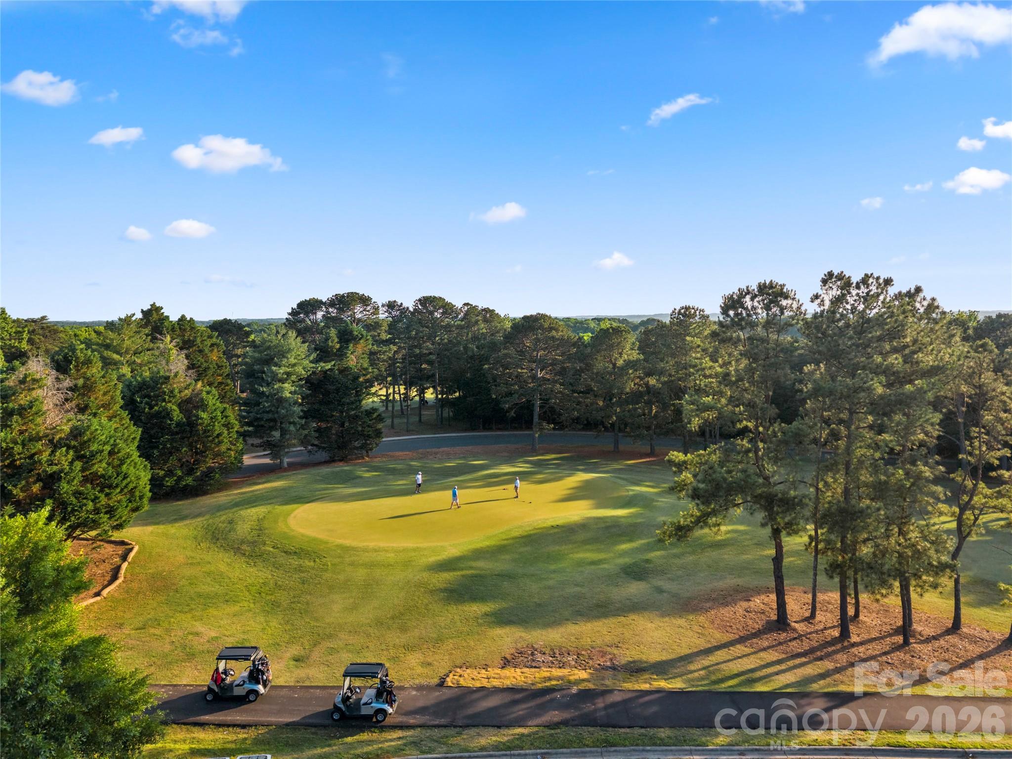 3072 Point Clear Drive Tega Cay, SC 29708 - Photo 38 of 47