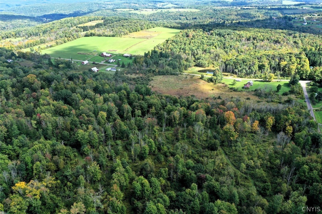 Cheese Factory Road Corning, NY 14830 - Photo 48 of 50 Gallery Image 48