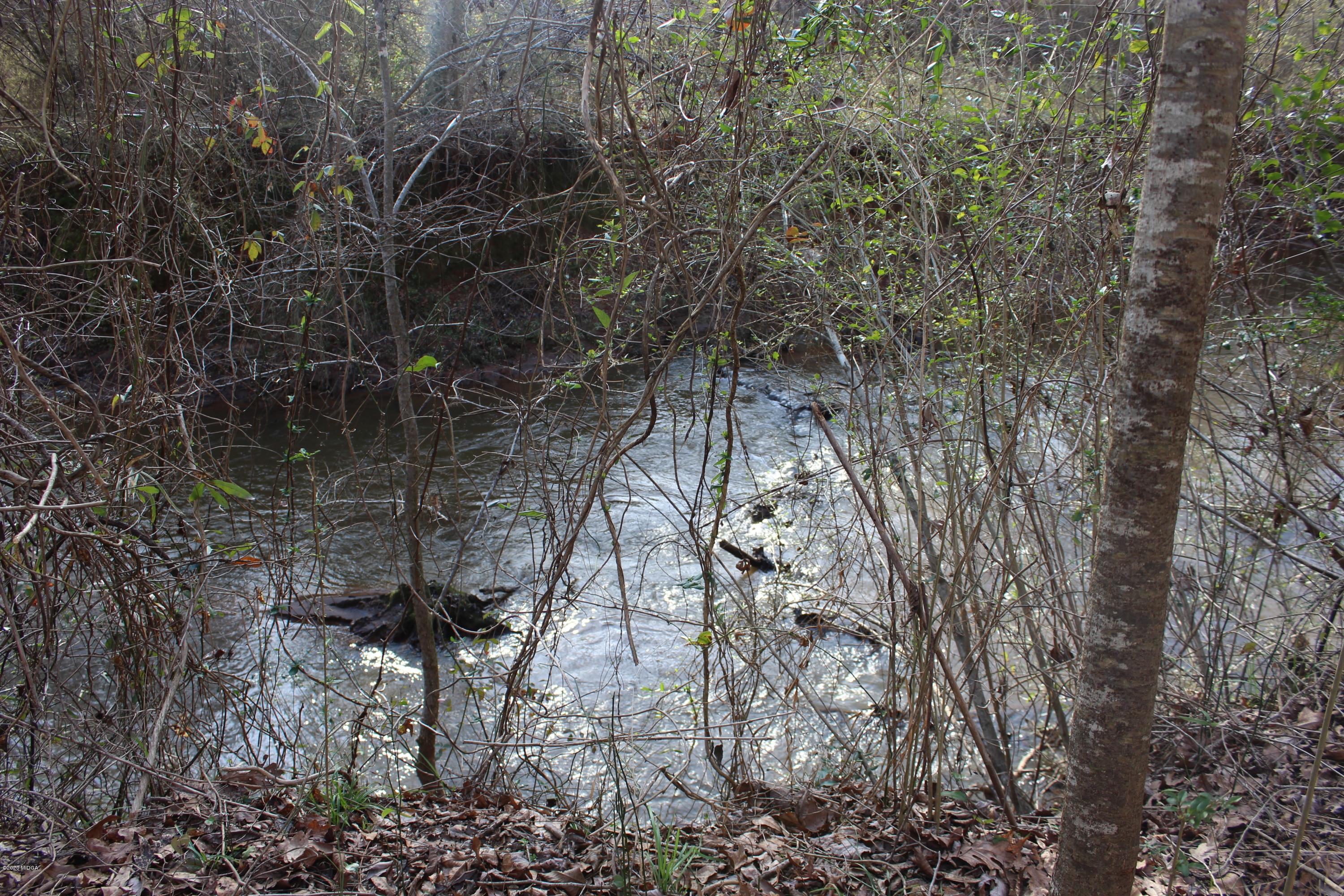 125 Raleigh Drive Forsyth, GA 31029 - Photo 22 of 37 a picture of tree