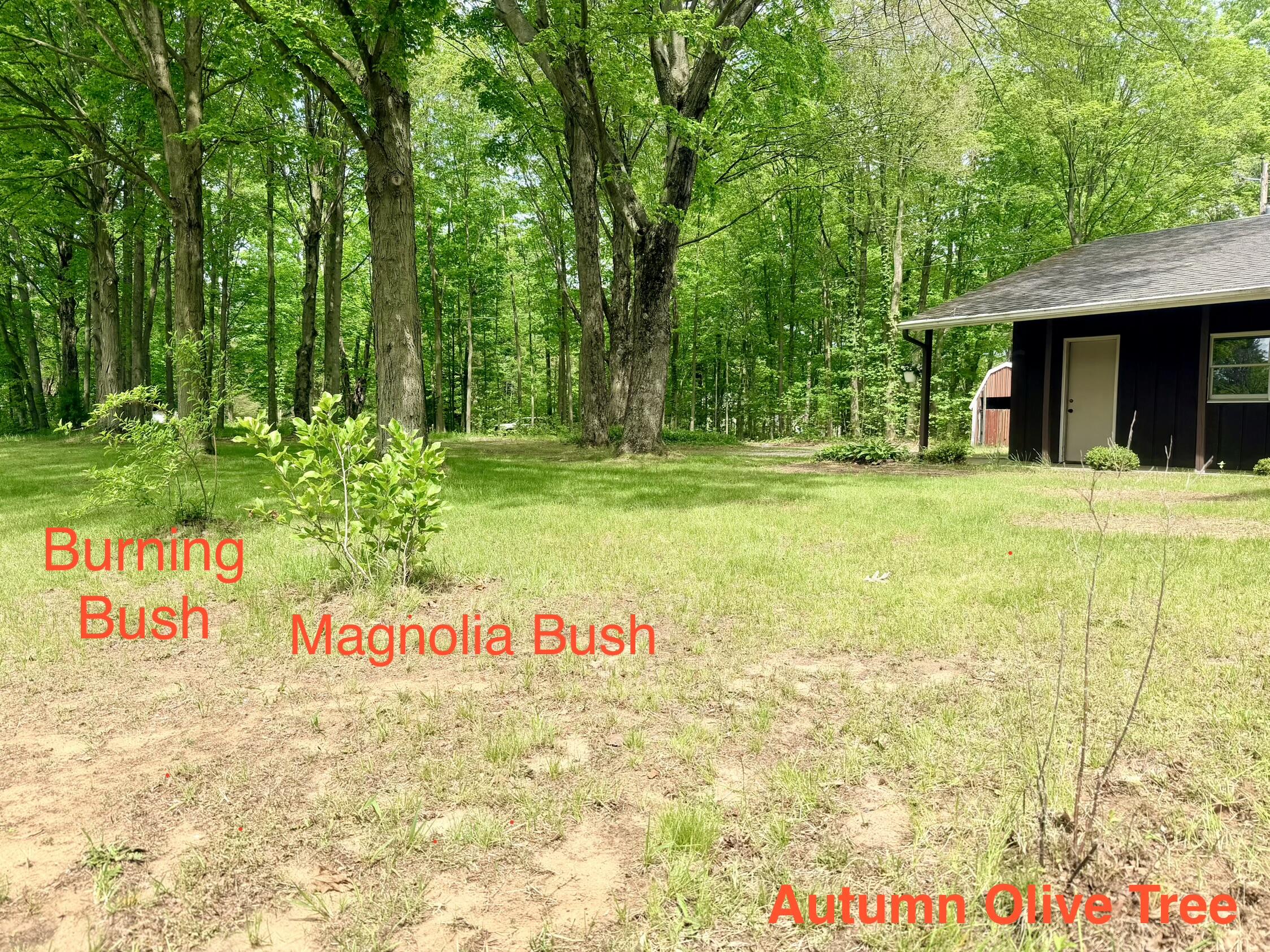 13953 Minnich Road Sawyer, MI 49125 - Photo 55 of 56 IMG_7718