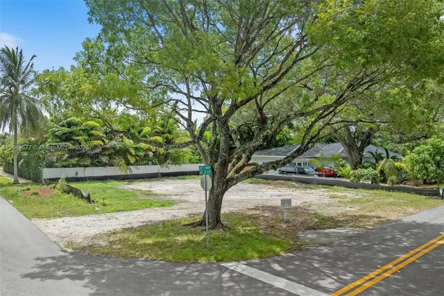 a view of a yard with a tree
