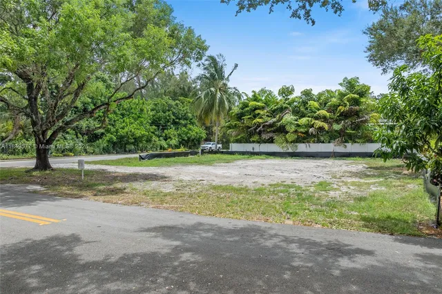 a view of a yard with a tree