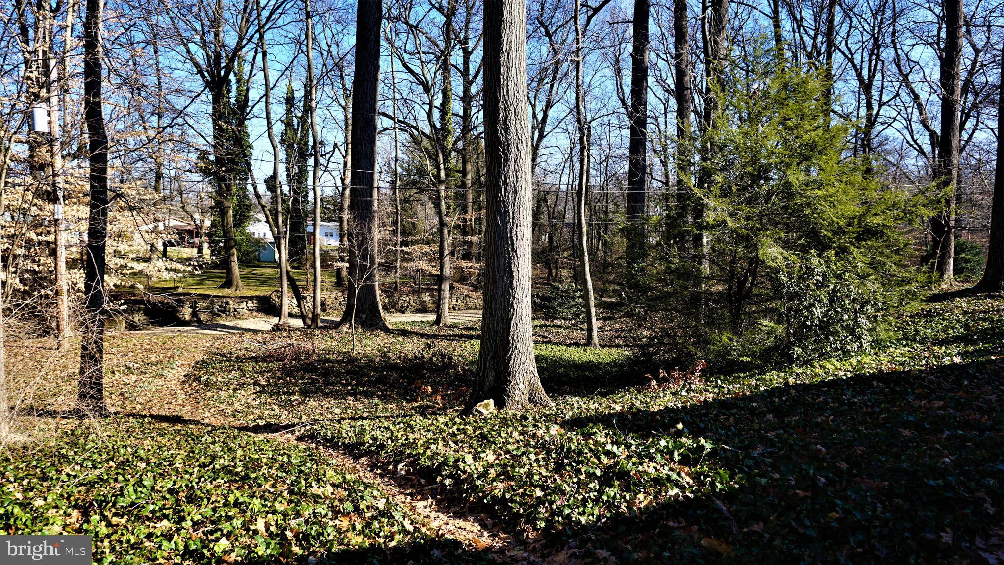 1313 Chadwick Road Wilmington, DE 19803 - Photo 42 of 47 Gallery Image 42