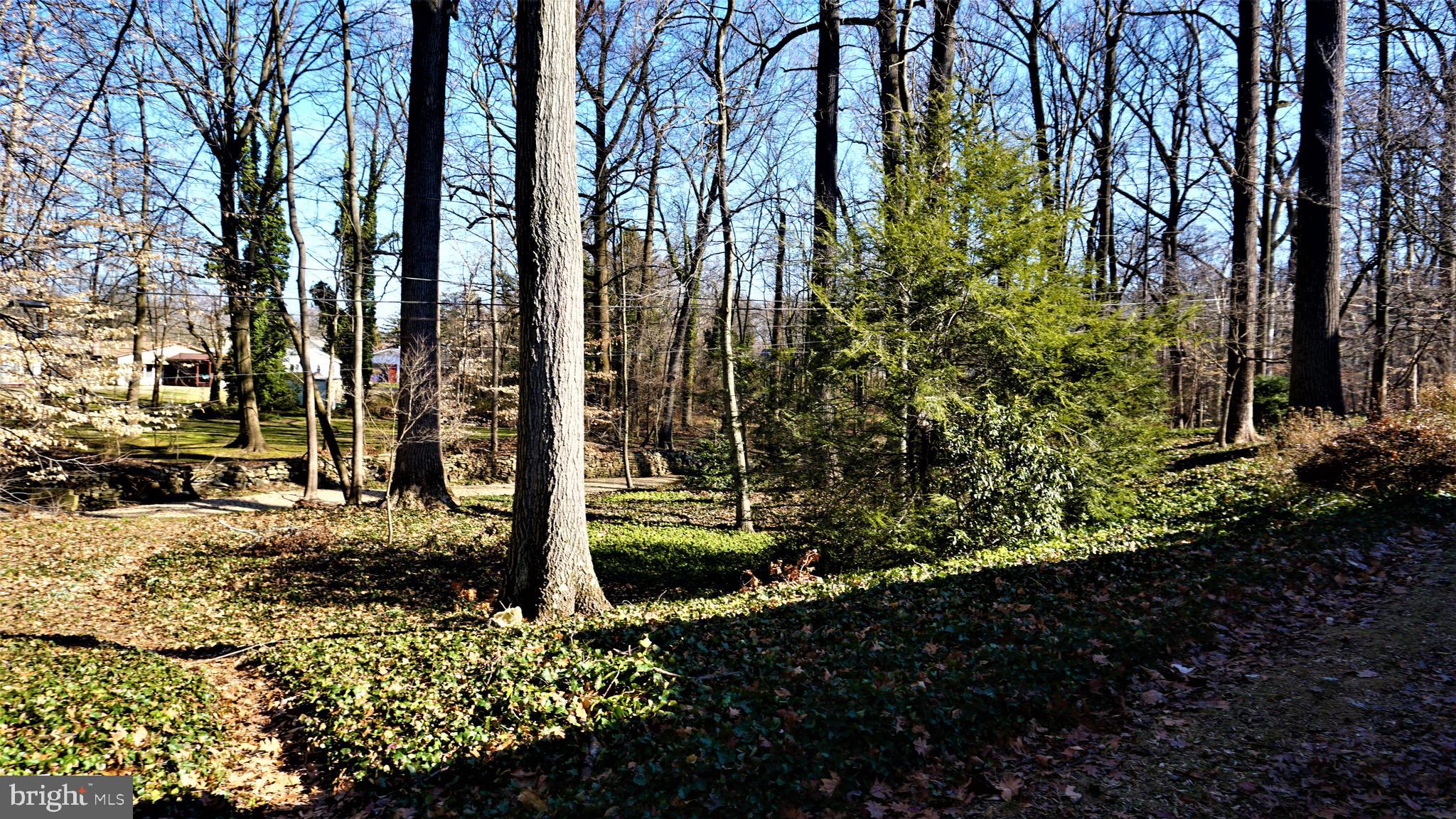 1313 Chadwick Road Wilmington, DE 19803 - Photo 47 of 47 Gallery Image 47