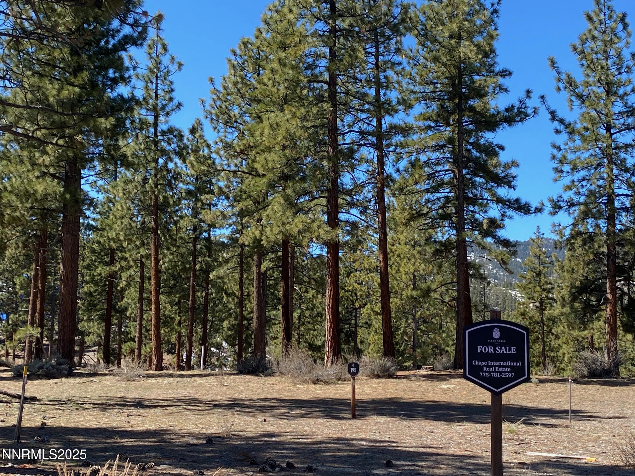 185 Dall Court, Unit 195 Carson City, NV 89705 - Photo 5 of 40 a view of a street with tree s