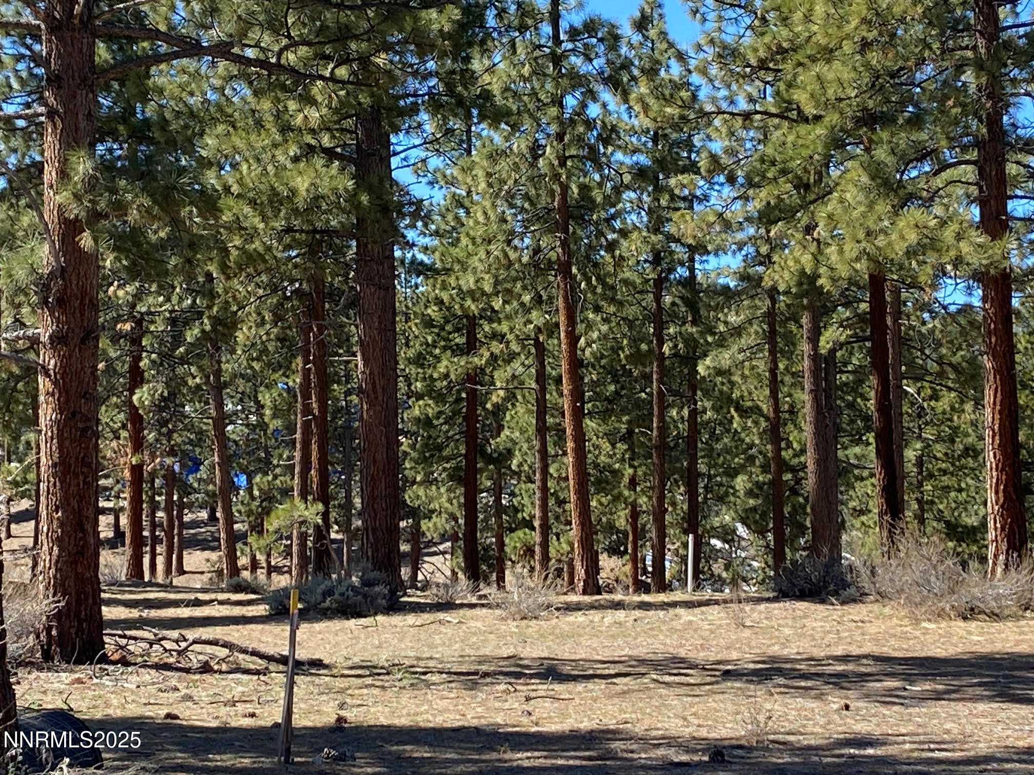 185 Dall Court, Unit 195 Carson City, NV 89705 - Photo 6 of 40 a view of a house with a yard