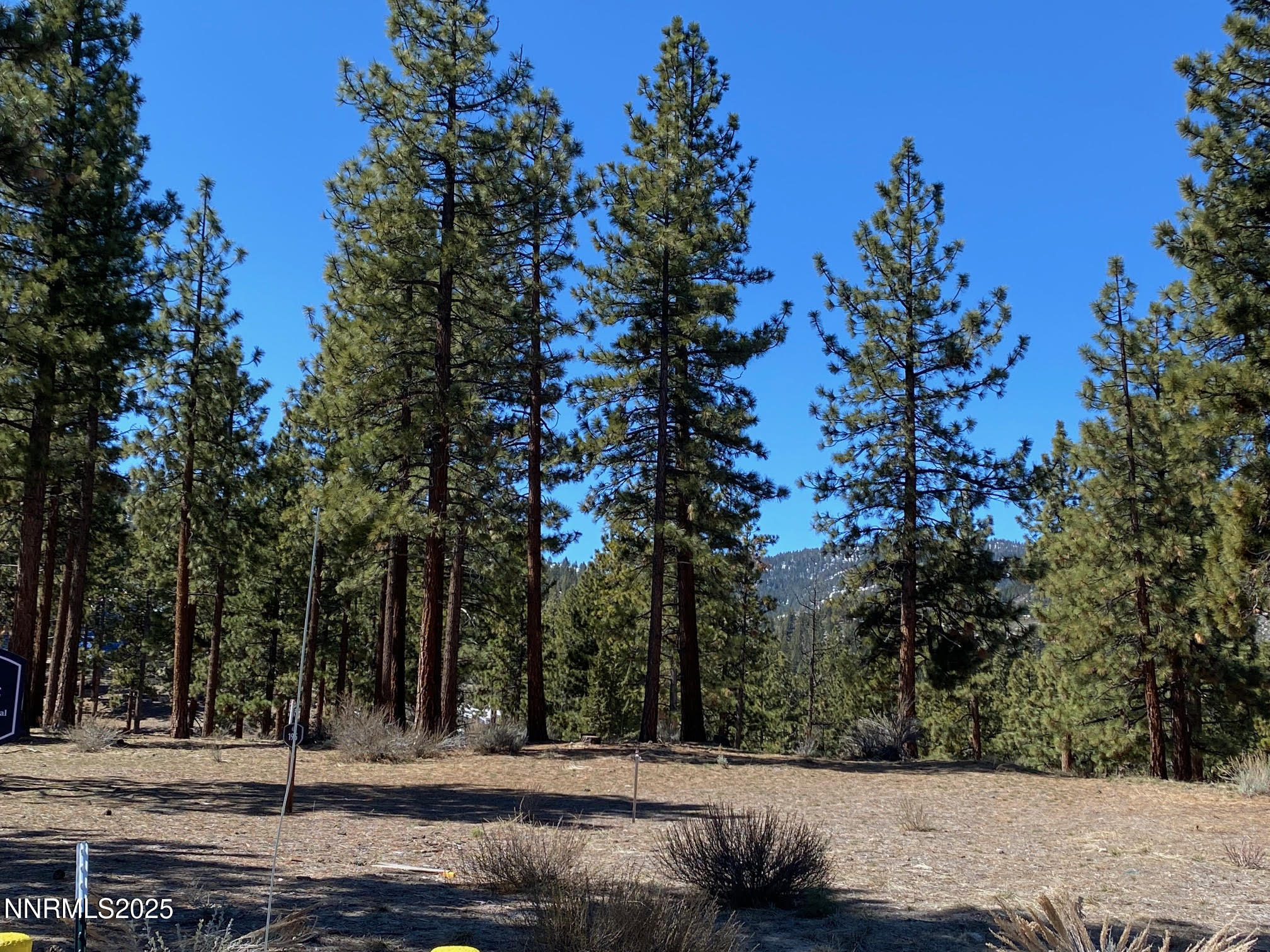 185 Dall Court, Unit 195 Carson City, NV 89705 - Photo 7 of 40 a view of a yard with a tree