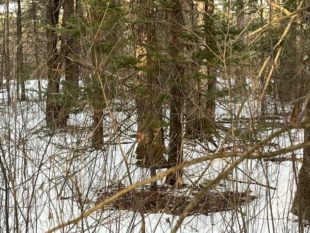 1-2 Eden Farm Road Freeport, ME 04032 - Photo 4 of 6 EF pic 2