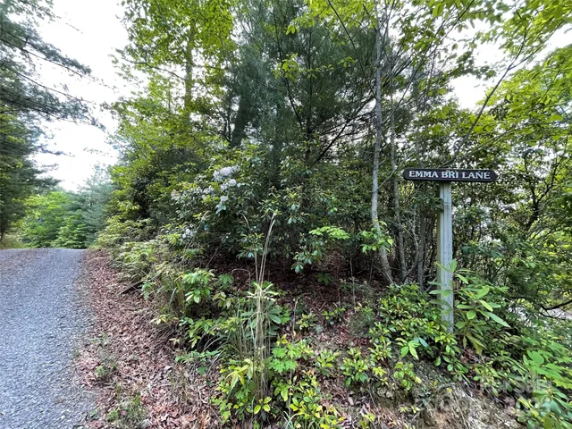 a view of outdoor space and green space