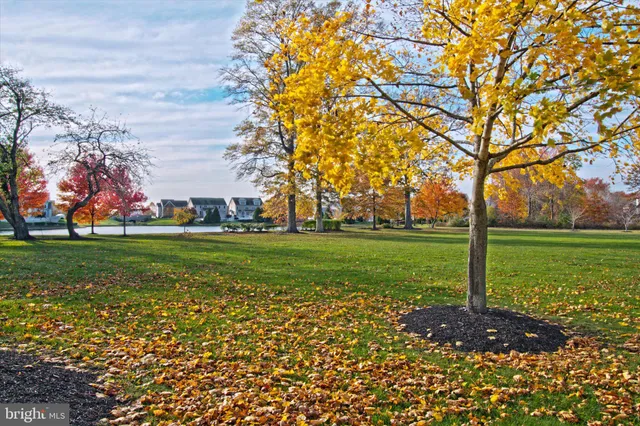 a view of a swimming pool and a yard