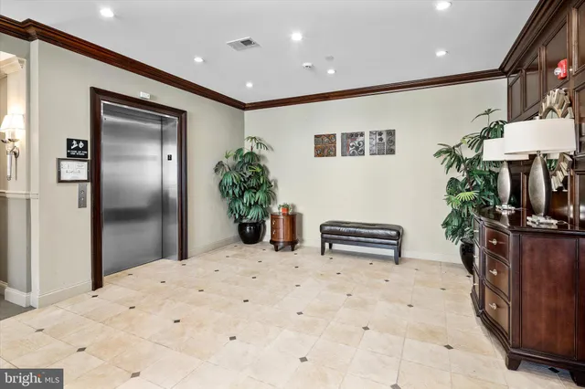 a room with furniture and a potted plant