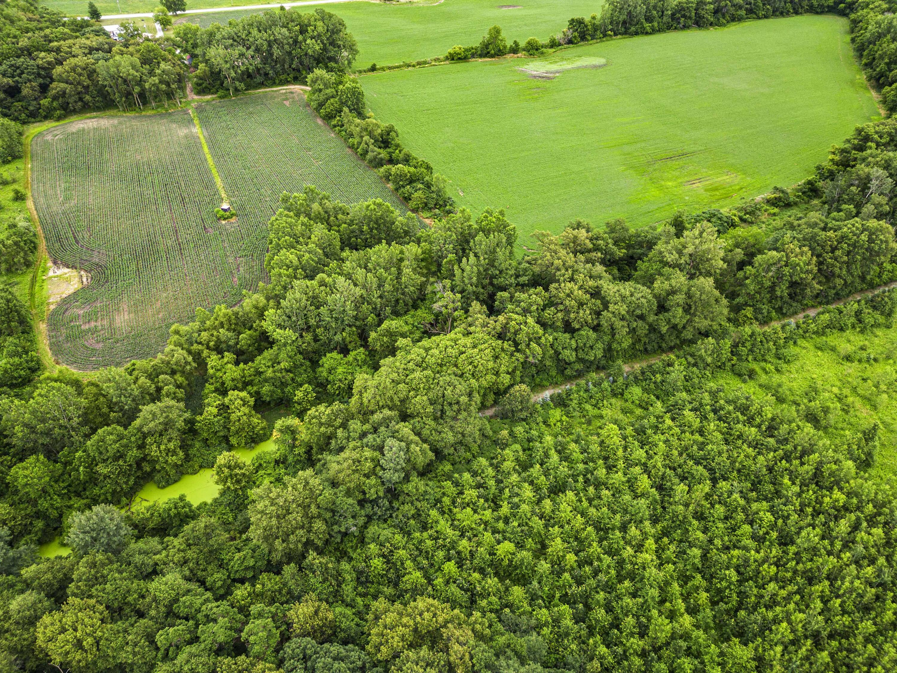0 County Road 400 North Rensselaer, IN 47978 - Photo 6 of 20 3000x2250
