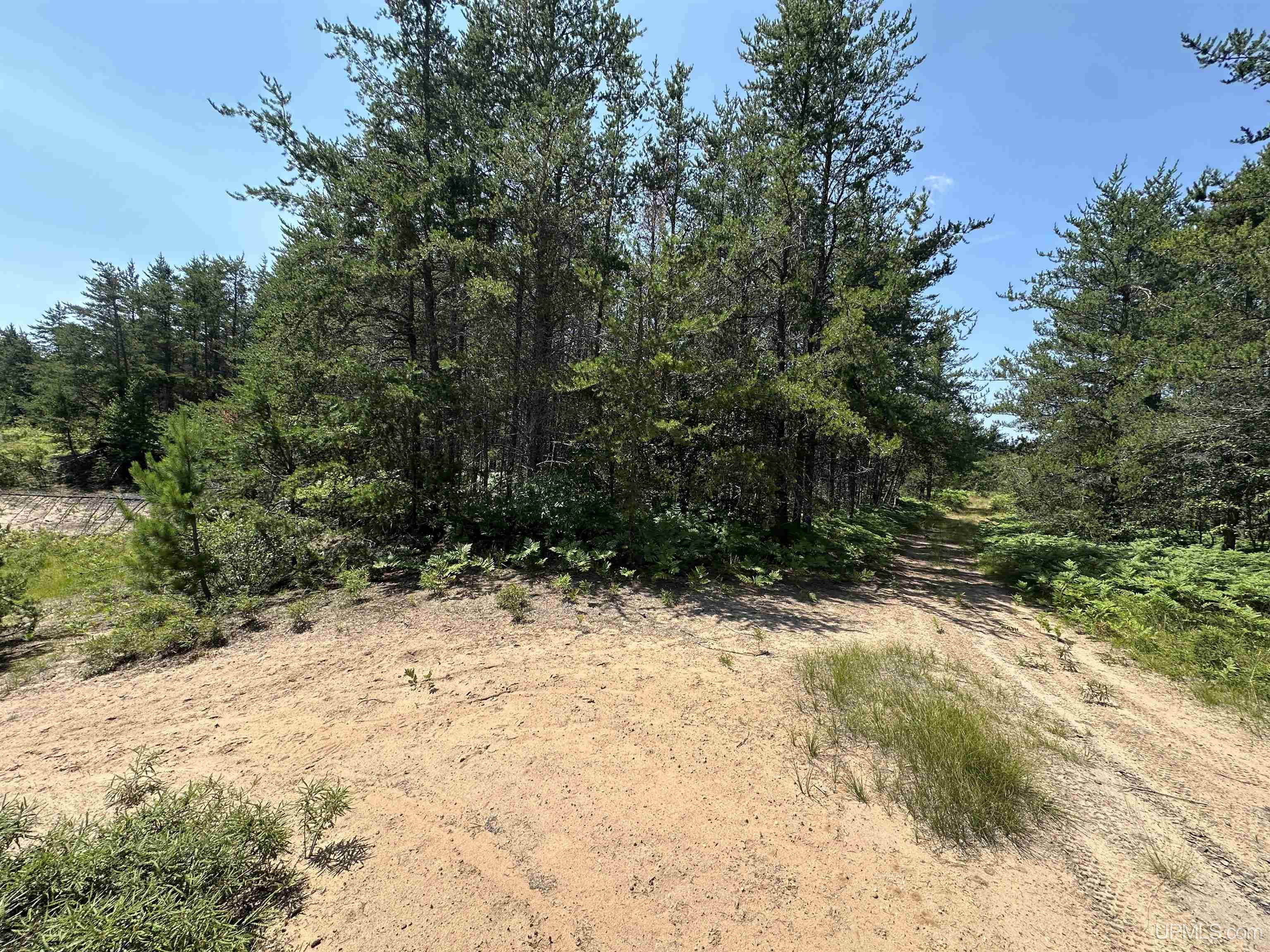 2020-2050 Co Road Little Lake, MI 49833 - Photo 22 of 39