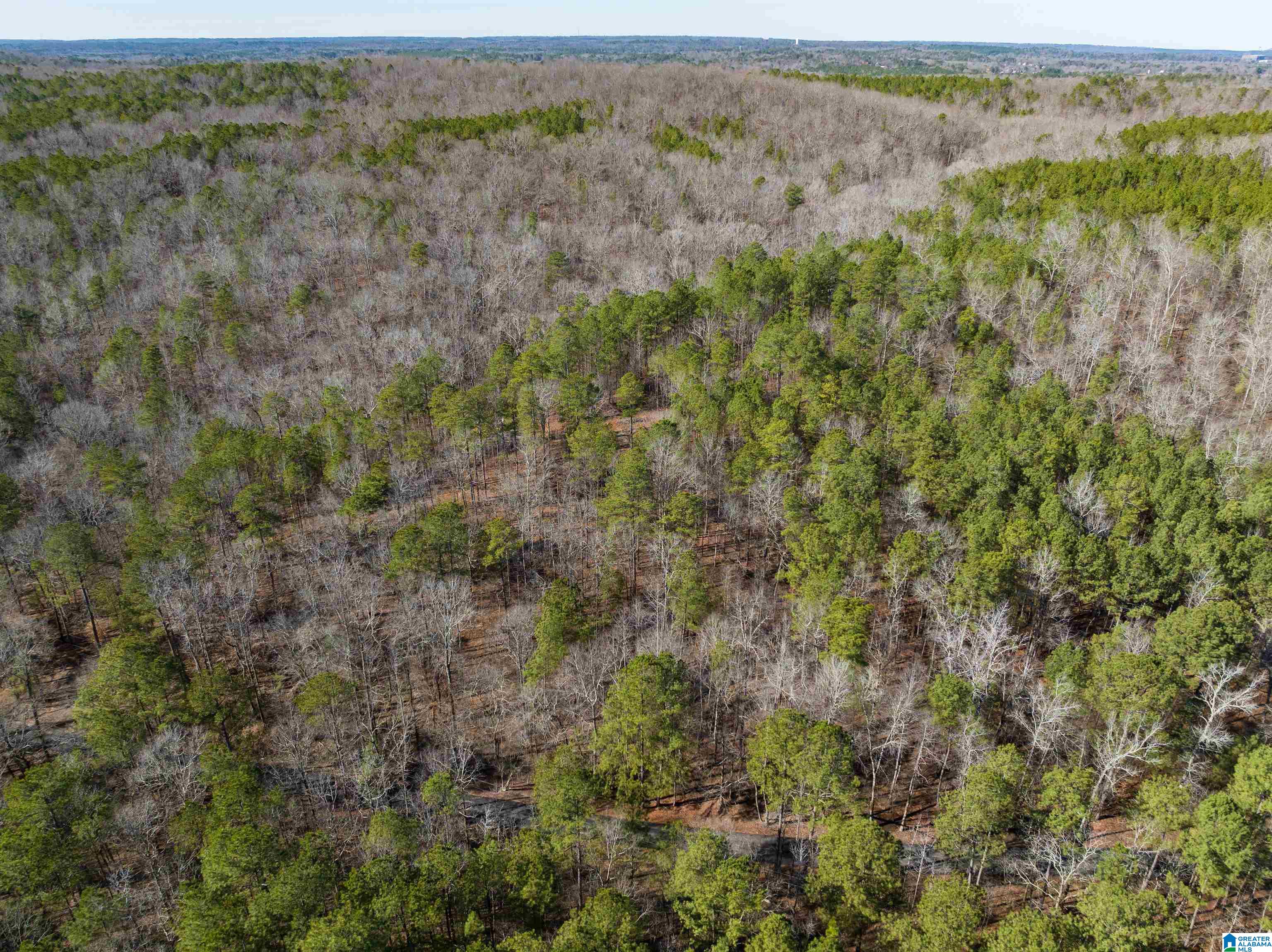 3659 McClendon Chapel Road, Unit 2 Bessemer, AL 35022 - Photo 3 of 44