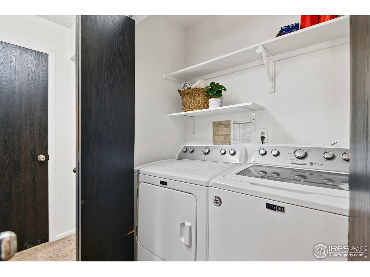 1024 East Swallow Road, Unit 214 Fort Collins, CO 80525 - Photo 14 of 17 Laundry & extra storage shelves