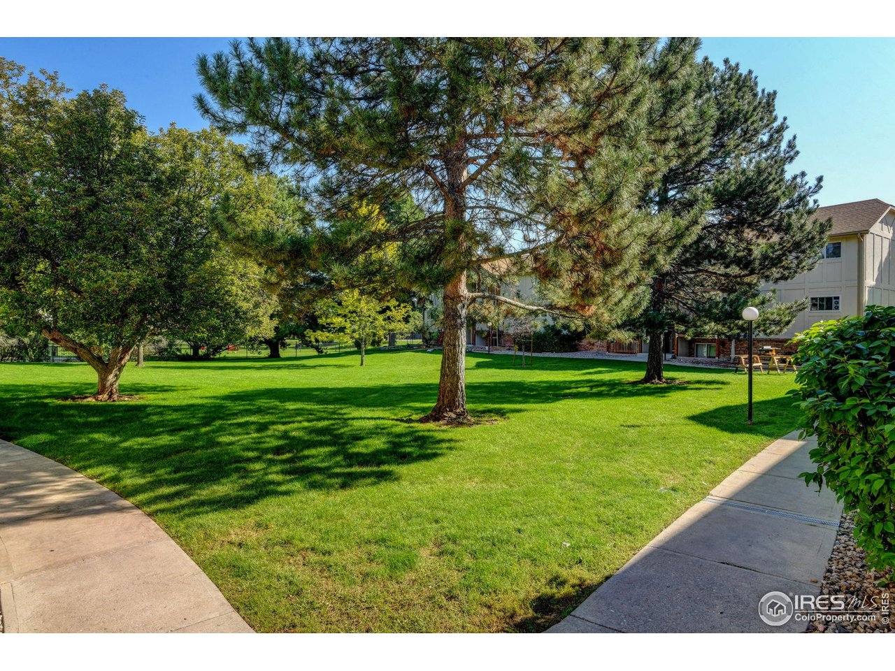 1024 East Swallow Road, Unit 214 Fort Collins, CO 80525 - Photo 15 of 17 Green space right outside your front door!
