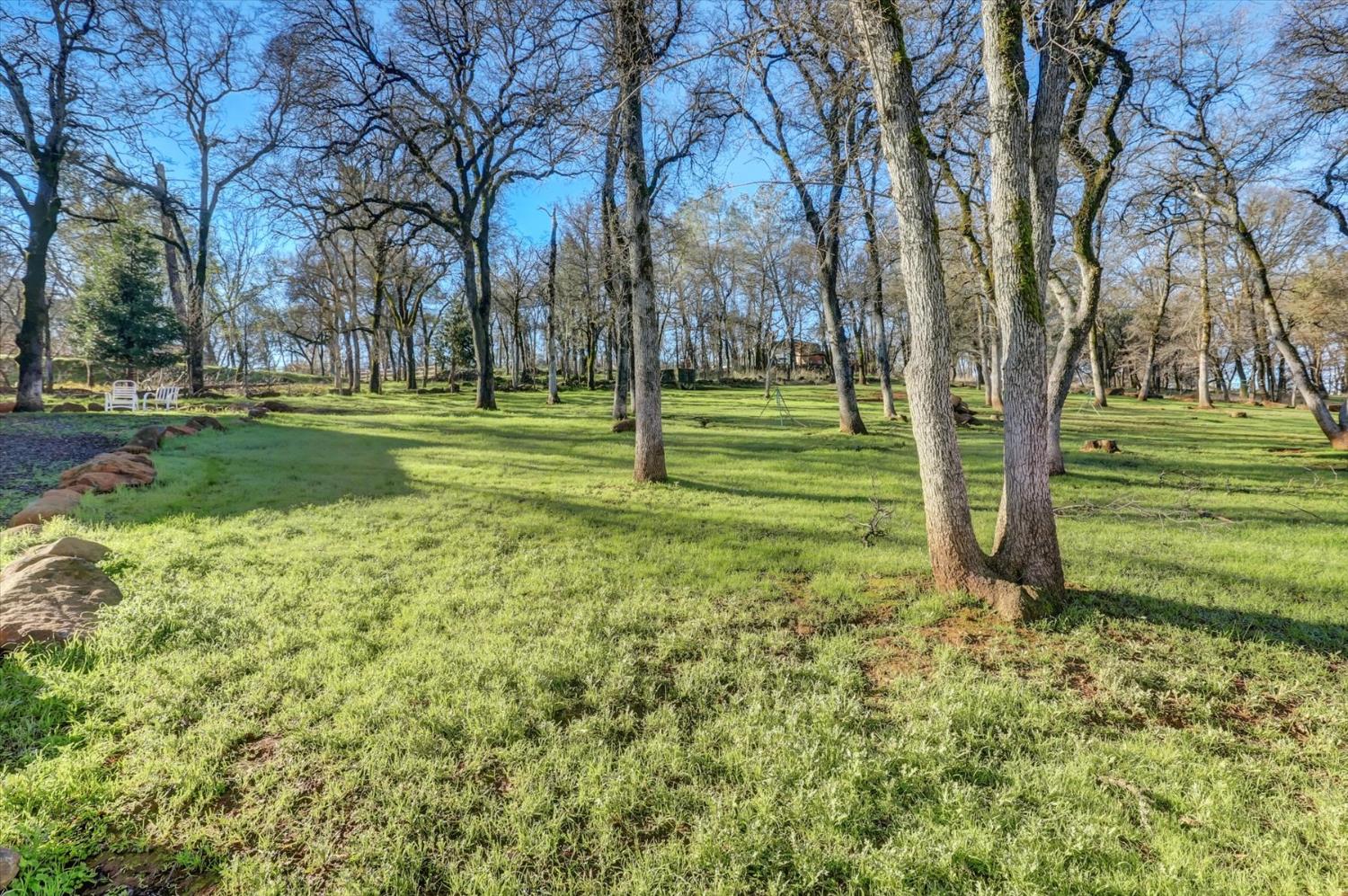 12597 Wolf Road Grass Valley, CA 95949 - Photo 52 of 88