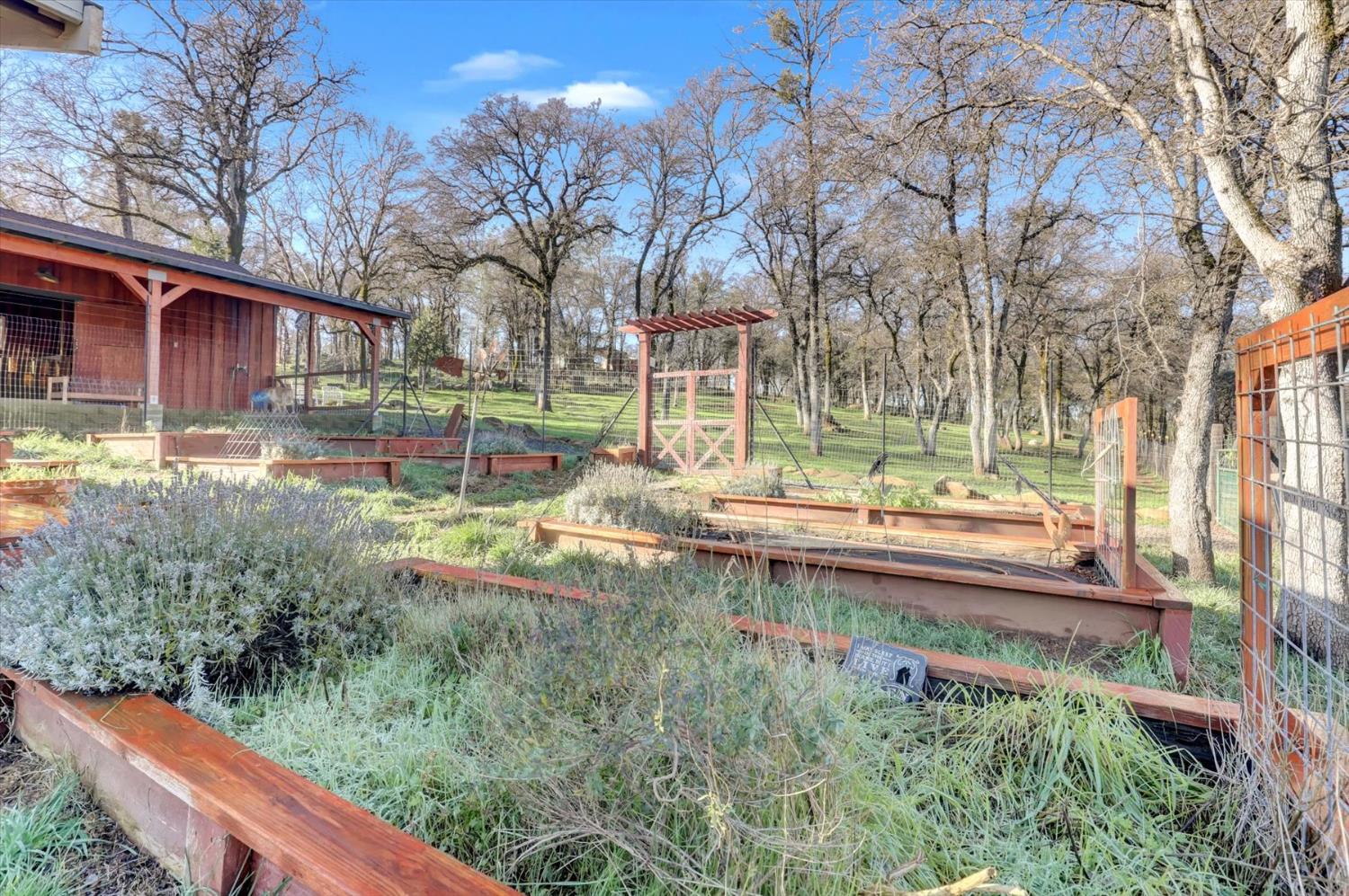 12597 Wolf Road Grass Valley, CA 95949 - Photo 61 of 88