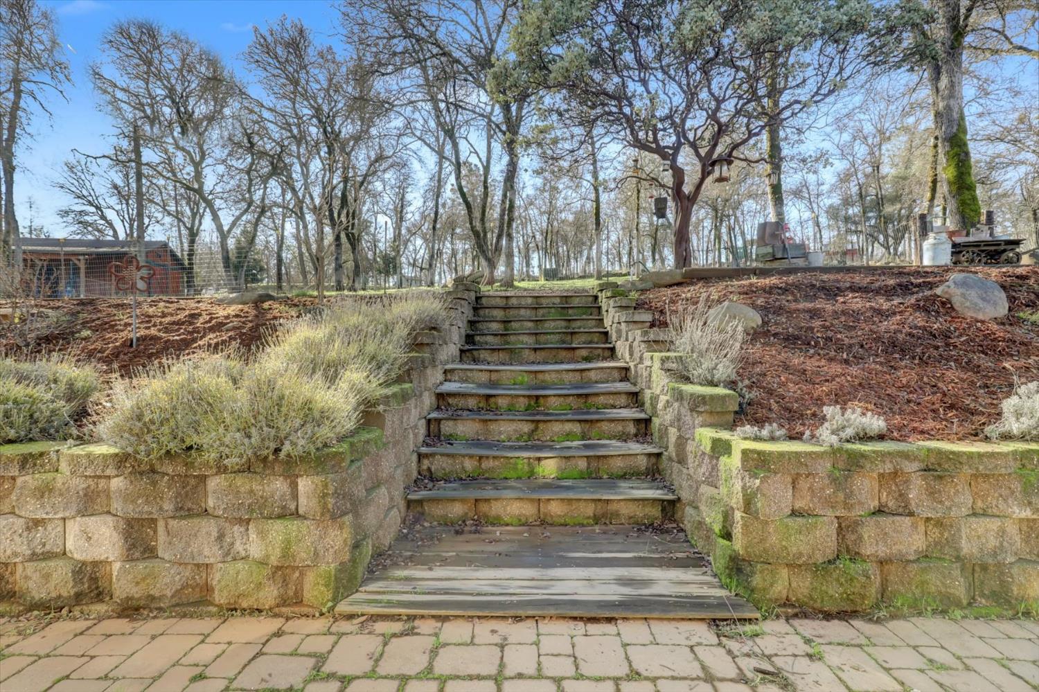 12597 Wolf Road Grass Valley, CA 95949 - Photo 62 of 88