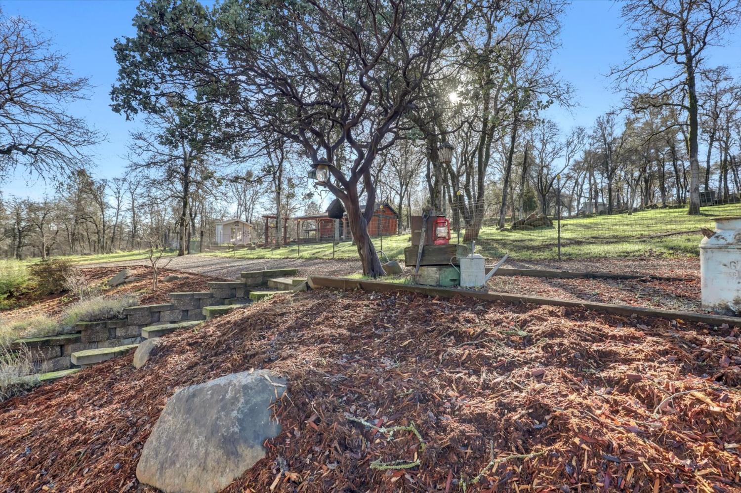 12597 Wolf Road Grass Valley, CA 95949 - Photo 64 of 88