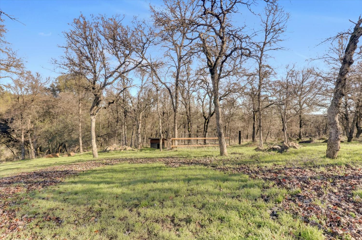 12597 Wolf Road Grass Valley, CA 95949 - Photo 65 of 88