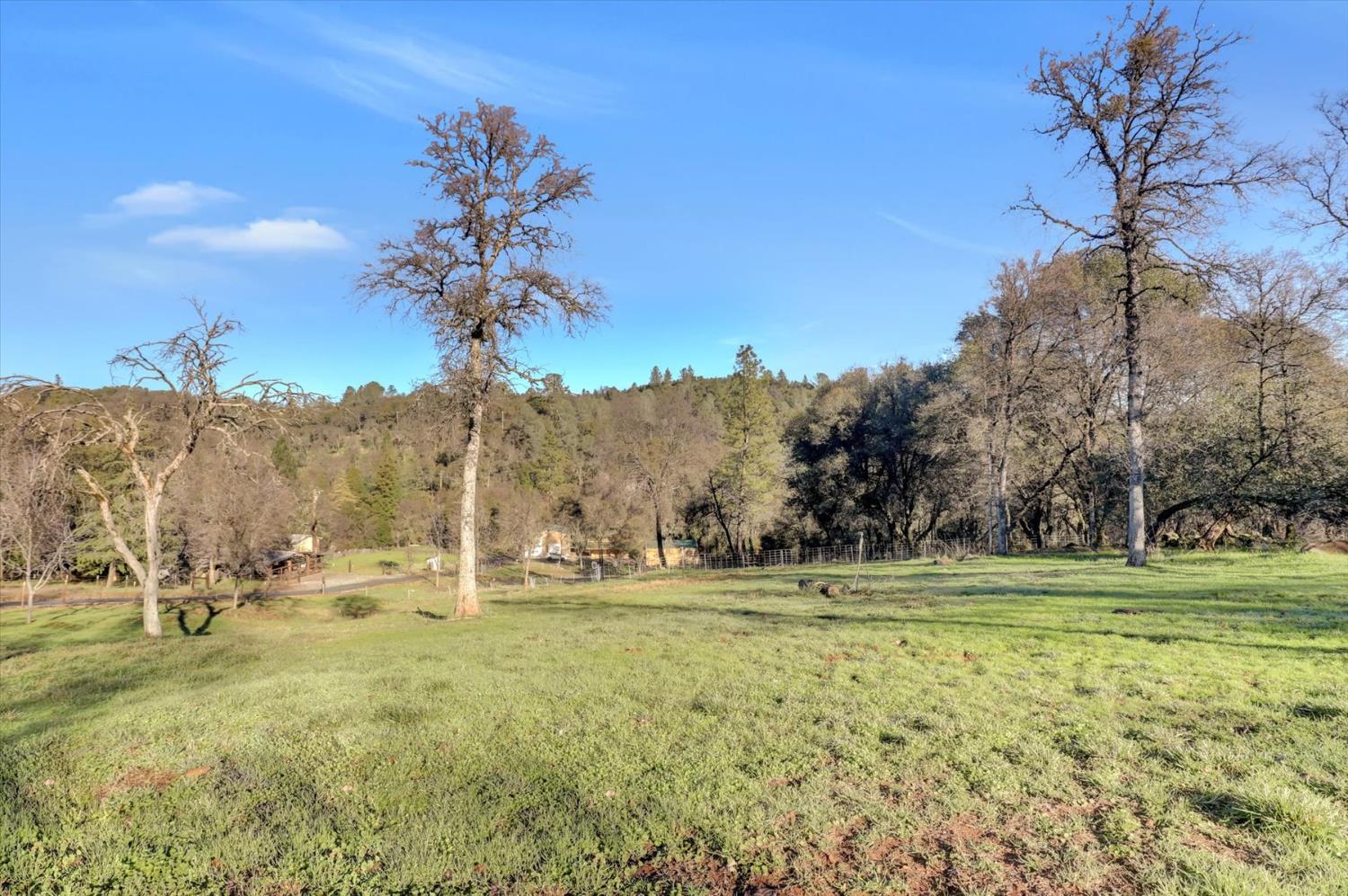 12597 Wolf Road Grass Valley, CA 95949 - Photo 66 of 88