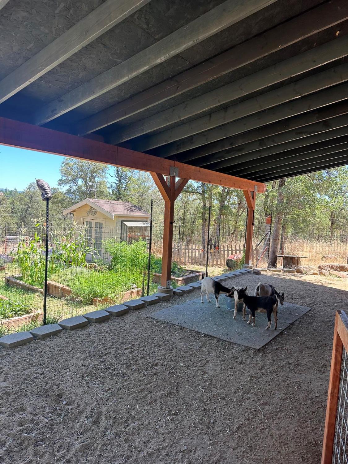 12597 Wolf Road Grass Valley, CA 95949 - Photo 73 of 88