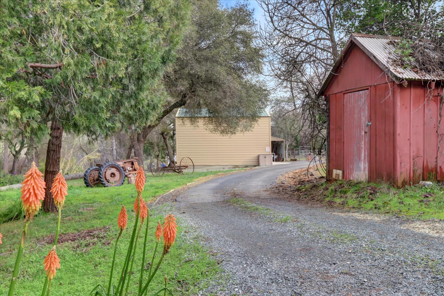 12597 Wolf Road Grass Valley, CA 95949 - Photo 81 of 88
