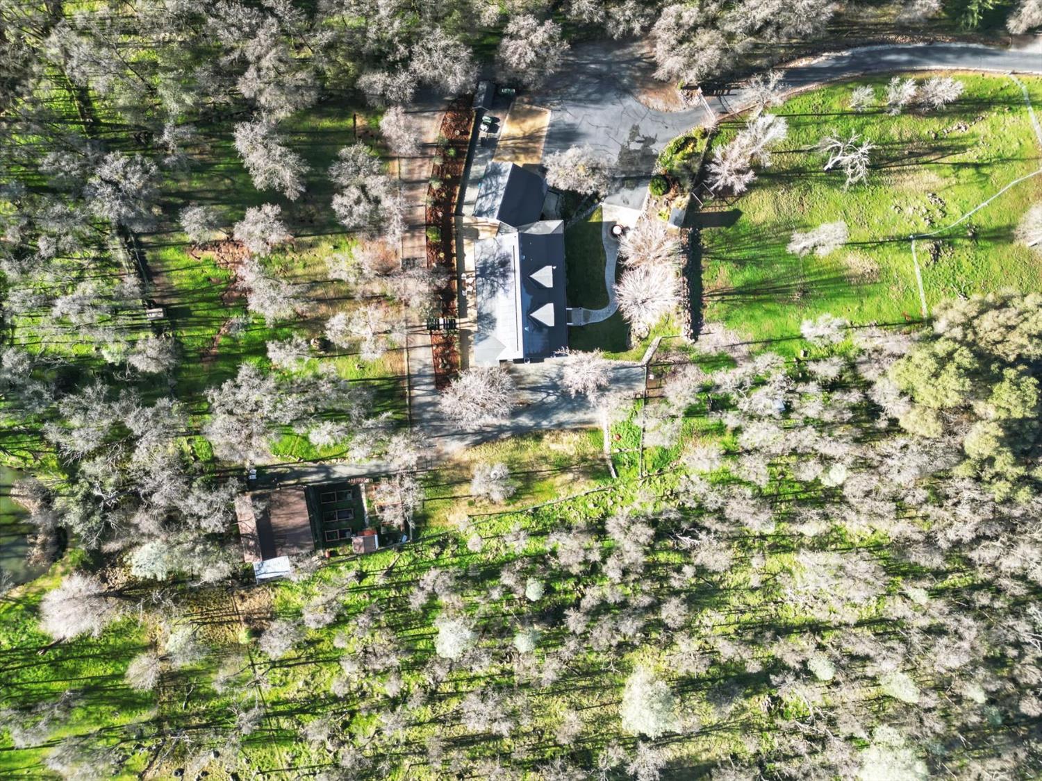 12597 Wolf Road Grass Valley, CA 95949 - Photo 85 of 88