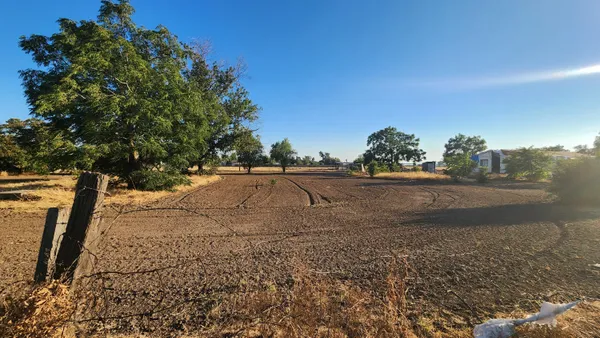a view of dirt yard with a large tree