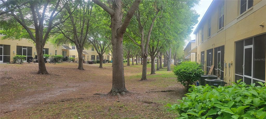 10951 Brickside Court Riverview, FL 33579 - Photo 15 of 31 a view of road and trees