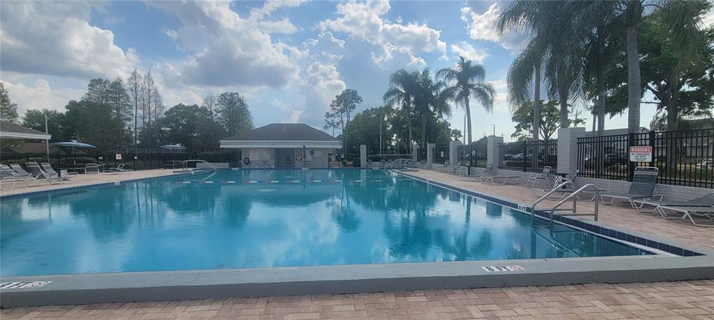10951 Brickside Court Riverview, FL 33579 - Photo 23 of 31 a view of swimming pool with a yard