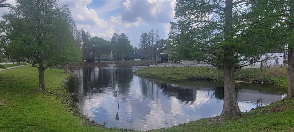 10951 Brickside Court Riverview, FL 33579 - Photo 28 of 31 a view of outdoor