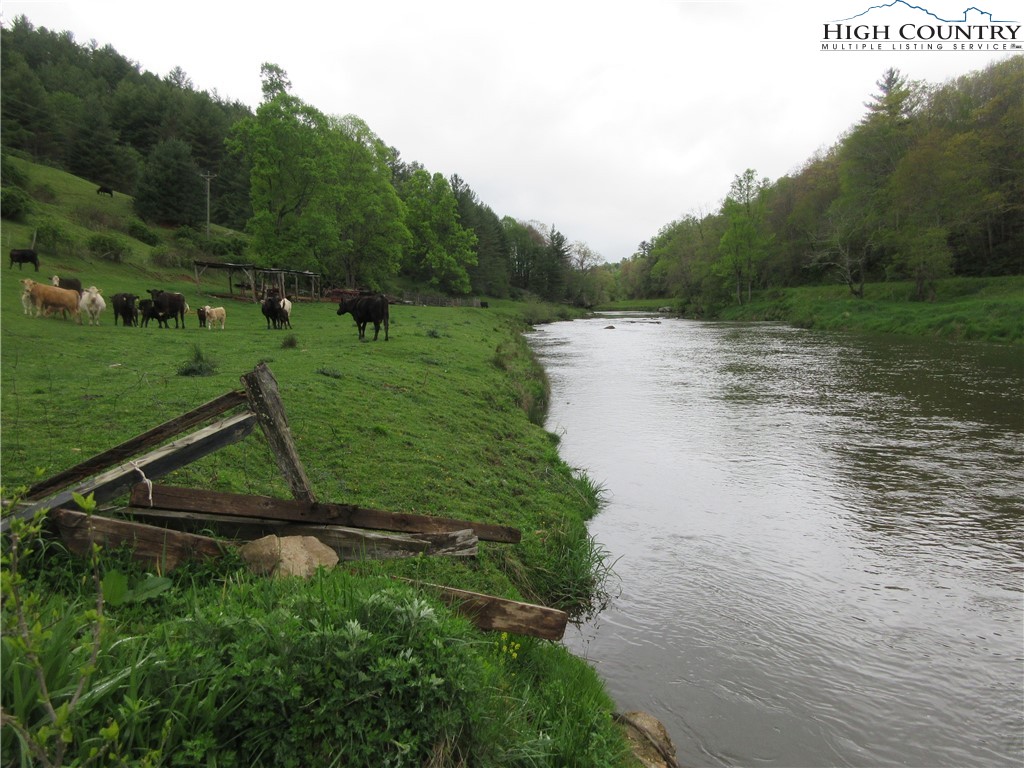 887 Todd Railroad Grade Road Boone, NC 28607 - Photo 11 of 34 Gallery Image 11