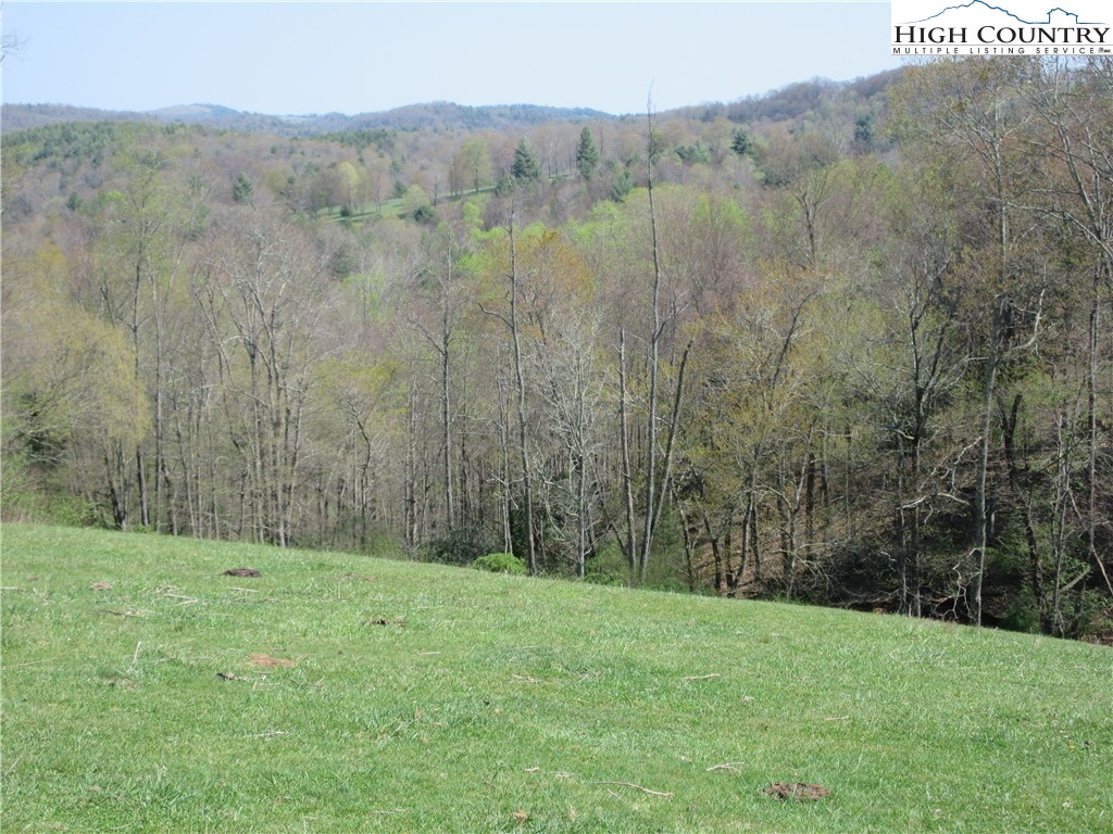 887 Todd Railroad Grade Road Boone, NC 28607 - Photo 15 of 34 Gallery Image 15