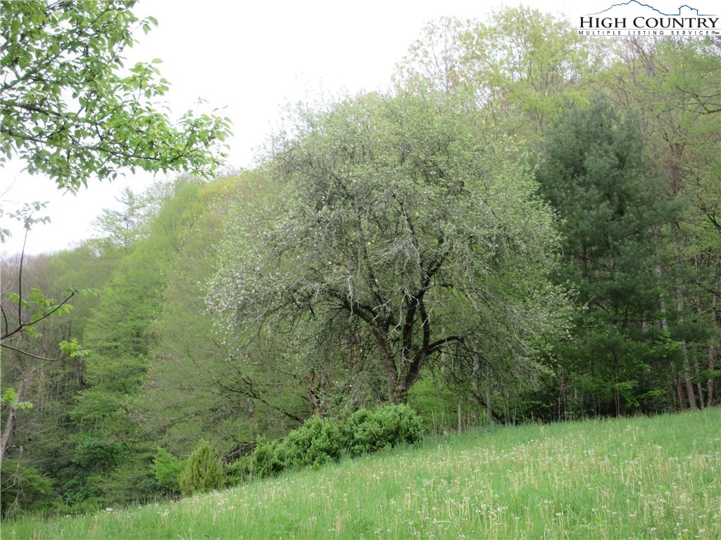 887 Todd Railroad Grade Road Boone, NC 28607 - Photo 25 of 34 Gallery Image 25