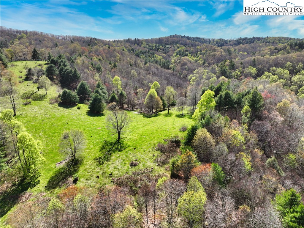 887 Todd Railroad Grade Road Boone, NC 28607 - Photo 5 of 34 Gallery Image 5