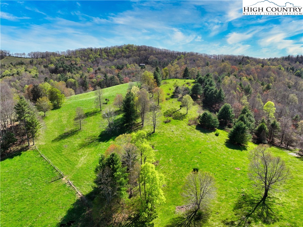 887 Todd Railroad Grade Road Boone, NC 28607 - Photo 7 of 34 Gallery Image 7